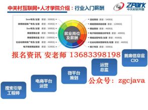 中關村互聯(lián)網營銷與大數據培訓 Java技術賦能與“先就業(yè)后付款”模式解析